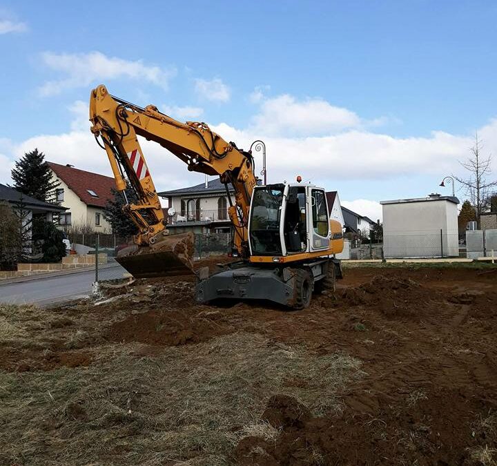 Aménagement extérieur à Esch-sur-Alzette : pour un jardin structuré et agréable