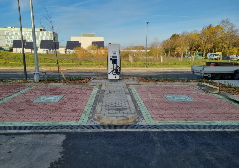 Pavage à Esch-sur-Alzette : quels matériaux choisir ?